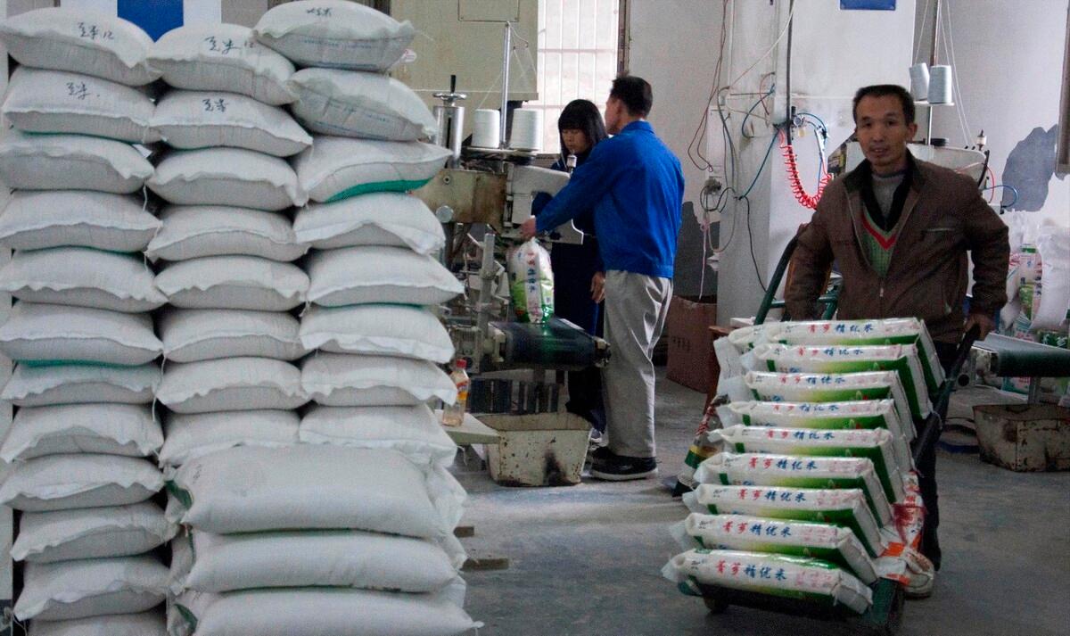 90鍚庡コ瀛╄繑涔″垱涓氱灏忕ɑ,90鍚庤繑涔″垱涓氬ぇ瀛︾敓绉嶆姘寸ɑ