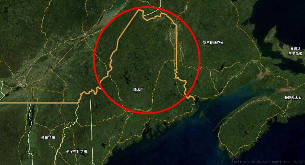 人熊大战！美国64岁女子因救狗与黑熊大打出手，结果熊被打跑了