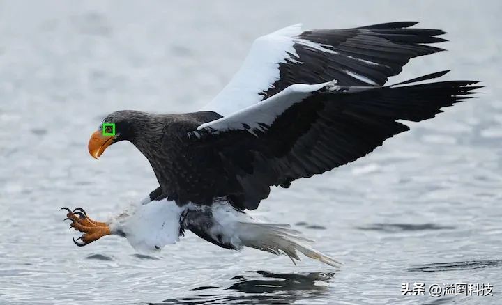 旗舰全画幅微单索尼alpha1评测,索尼alpha7cl全画幅微单怎么样