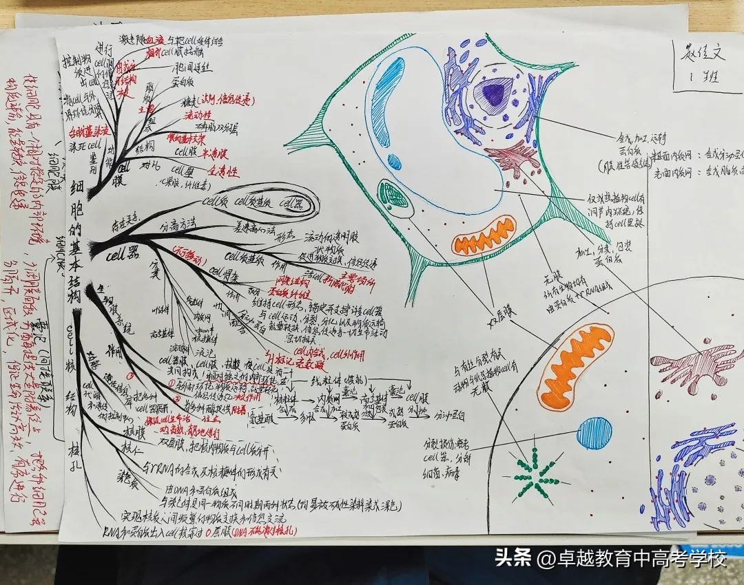 这些高考生的笔记太卷了！脉络清晰的笔记，让学习更游刃有余