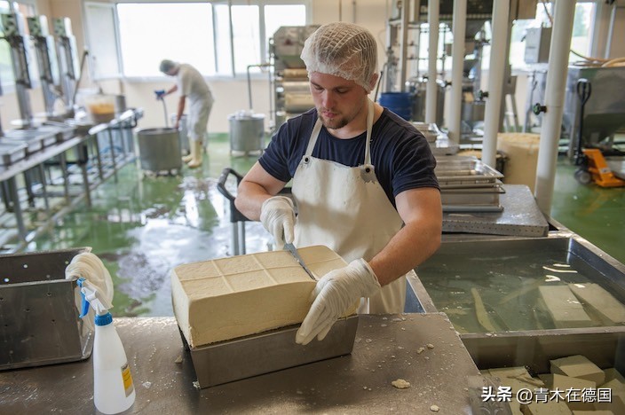 豆腐远销海外,德国制造豆腐