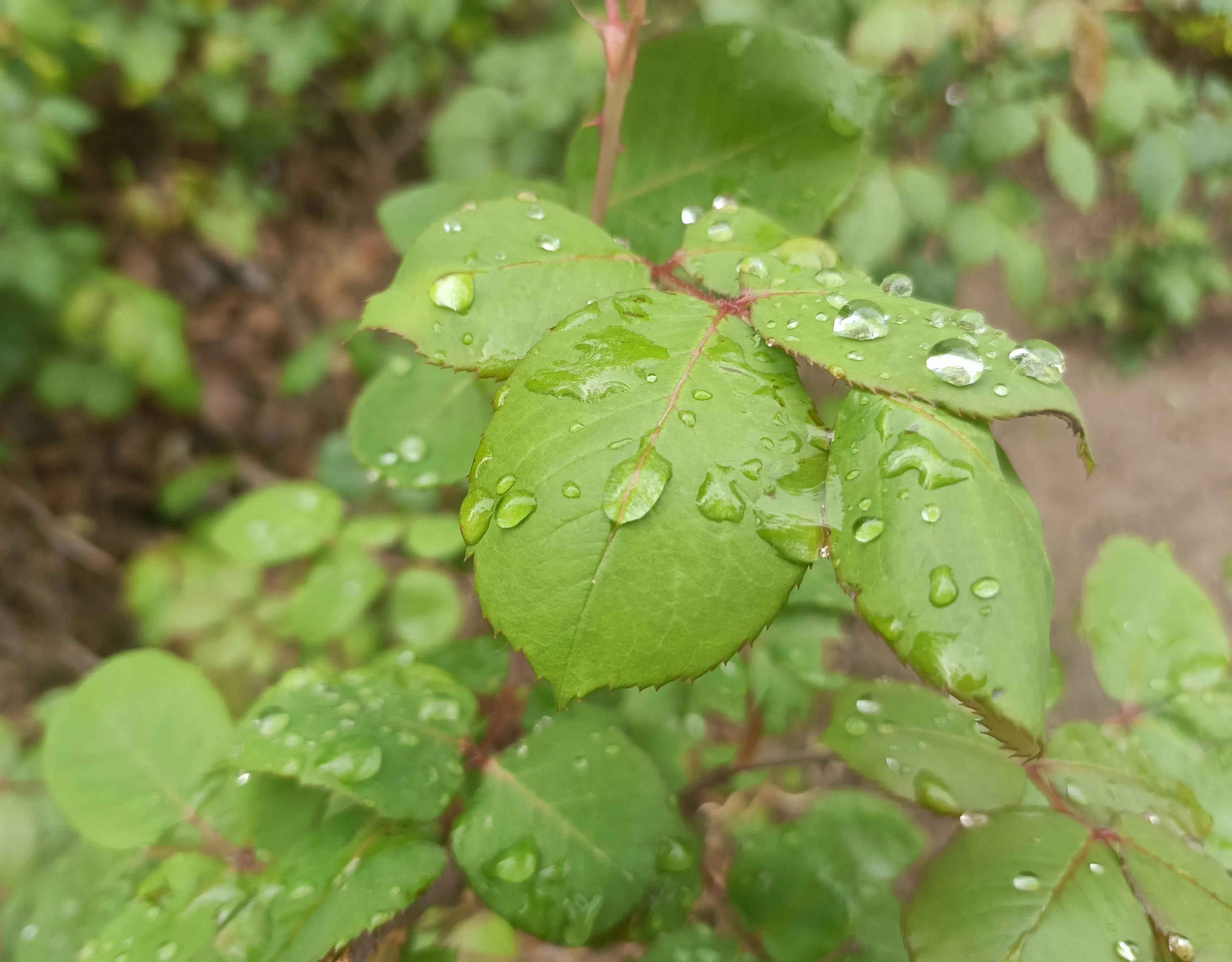 如何找到靠谱的外企,怎么找好的外企公司