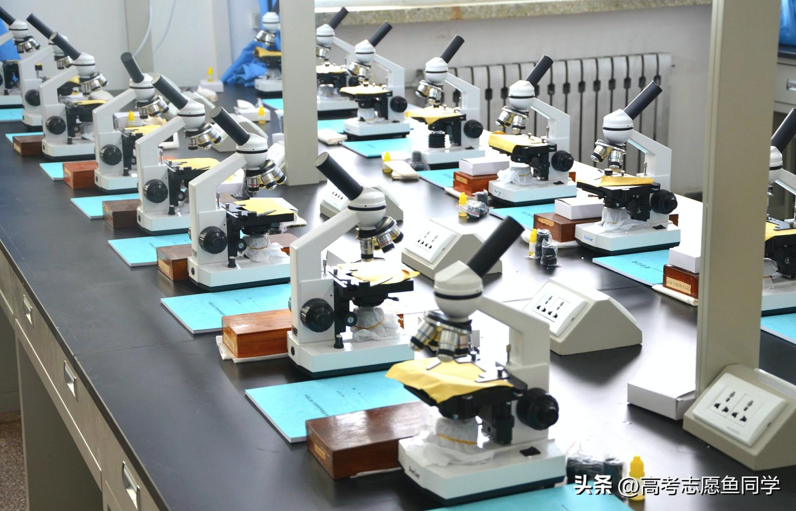 医学专业哪个专业前景好门槛低,医学类最值得报考的专业