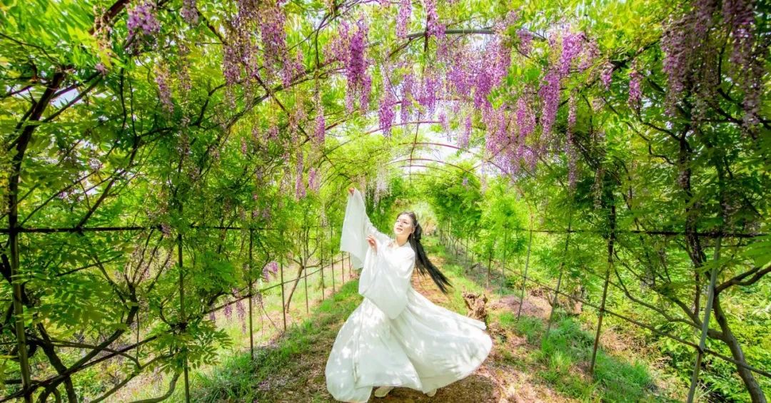 给你一个爱上乌兰察布的理由,给你一个喜欢我的理由