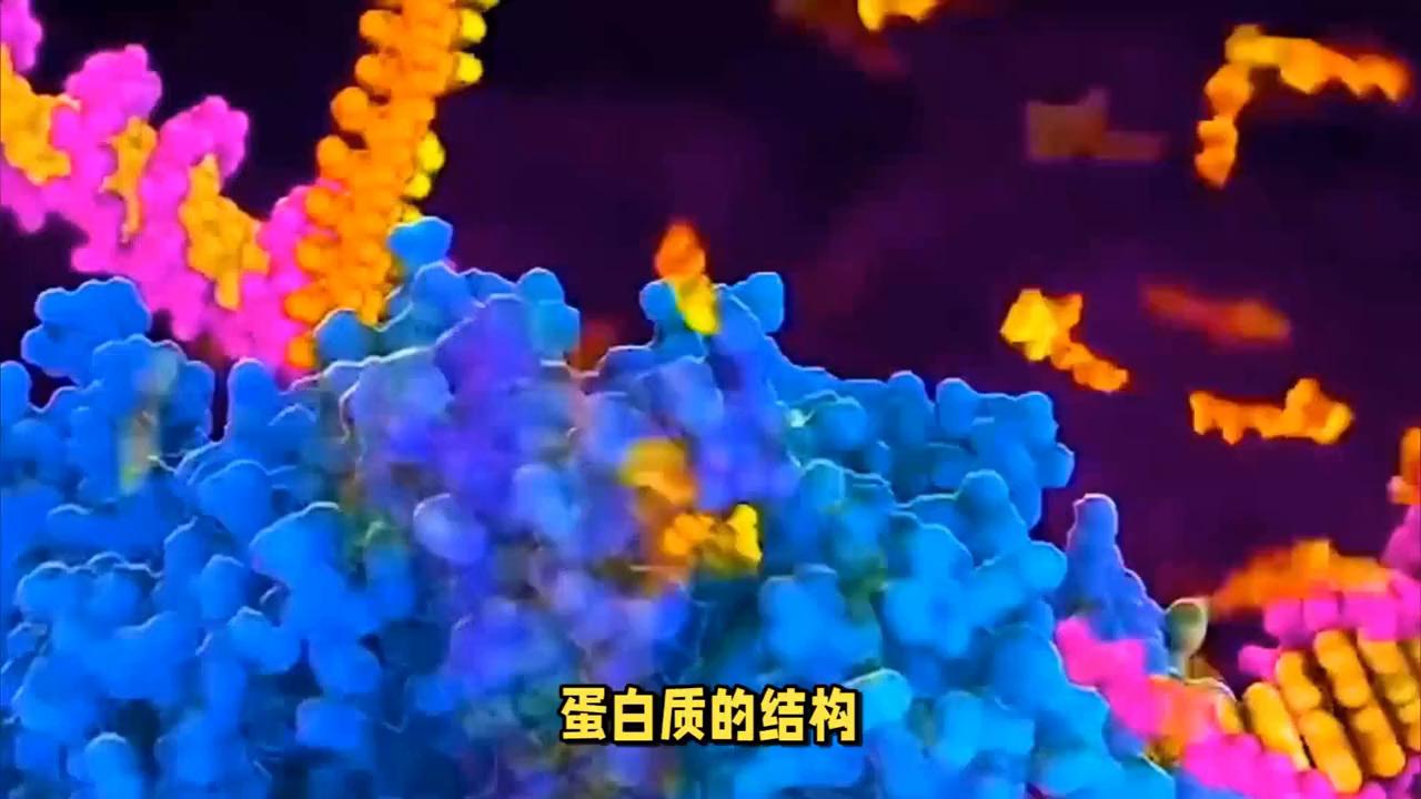 天天食安行——蛋白质在干燥过程中的变性机理#天天食安行