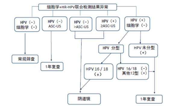 门医科普|宫颈癌筛查你了解吗？