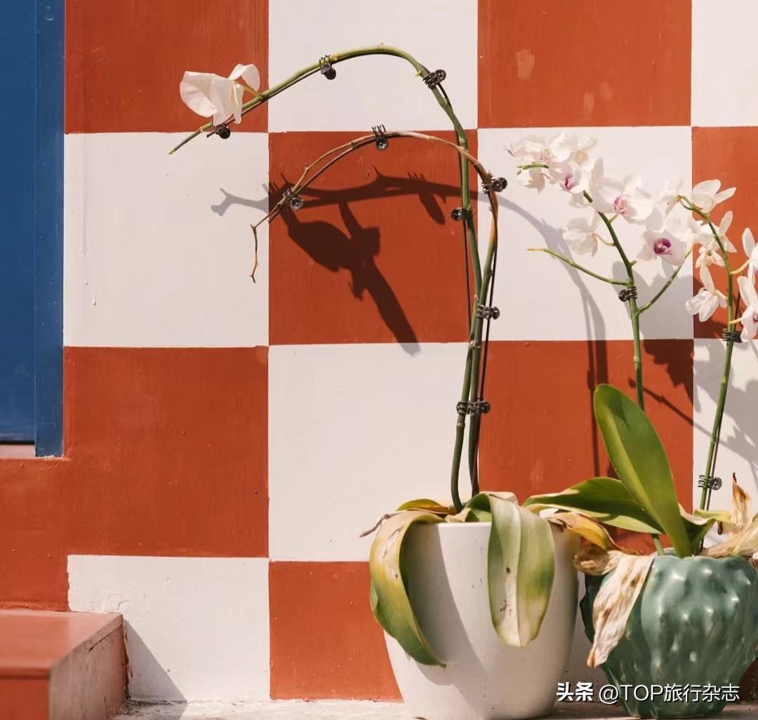 这些不起眼的小巷,不起眼的小巷往往隐藏了许多美食