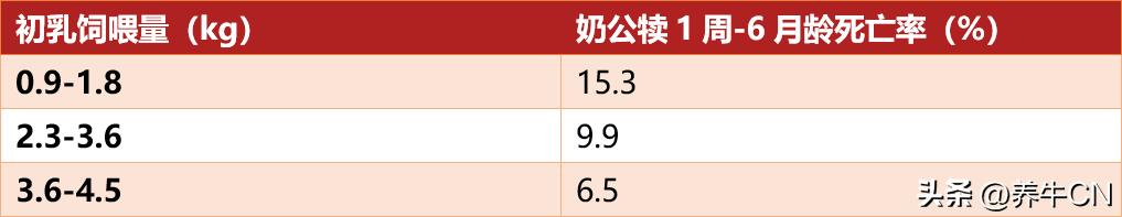 奶牛群的肉用策略分析