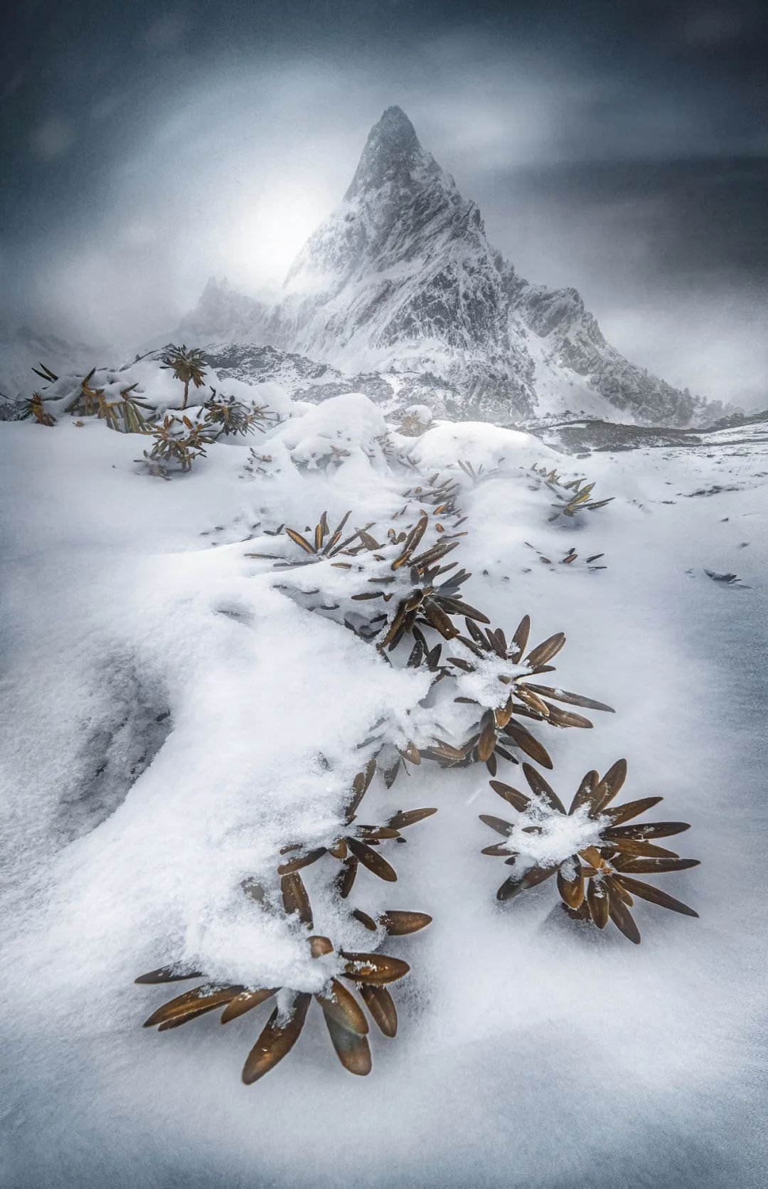 摄影界最著名的奖,摄影界的最高奖项叫什么