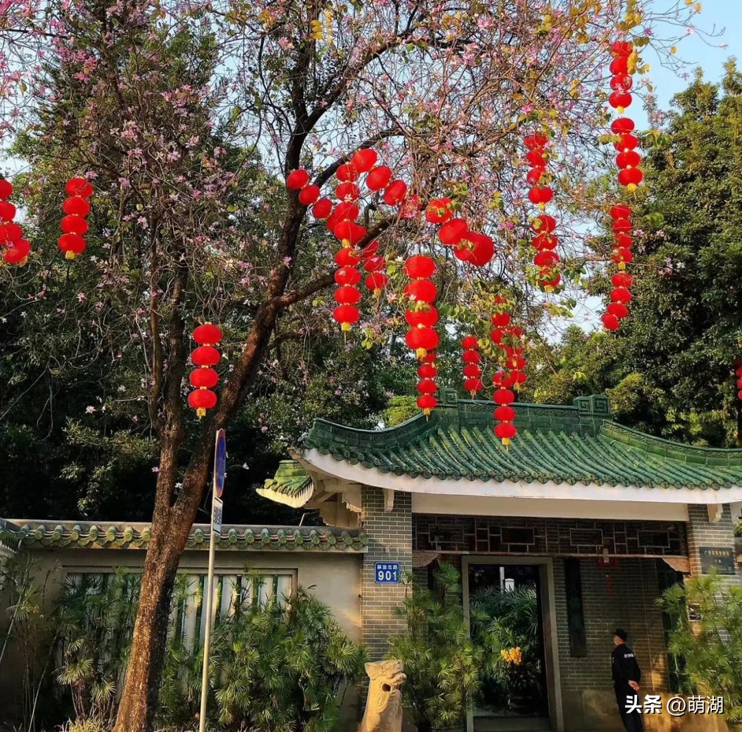 慢下来看风景静下来陶冶情操,慢下来享受安静的惬意时光