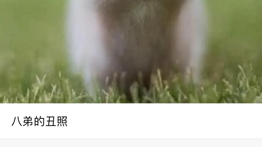 iphone相册权限在哪里打开,iphone私密相册怎么打开