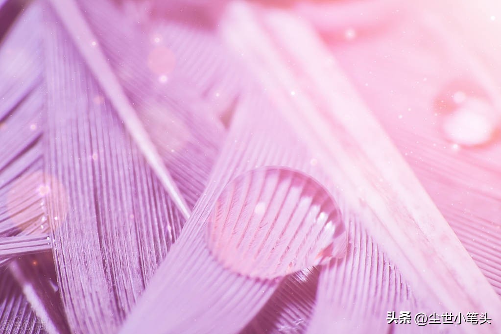 学习的知识太杂会怎样,很有用的杂学知识