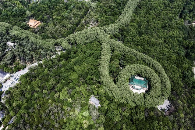 江苏旅游必去十大景点攻略,江苏旅游必去十大景点旅游攻略