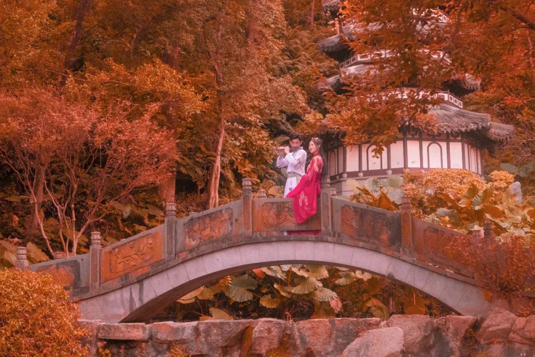 100首必背经典古诗词,30首必背经典古诗词