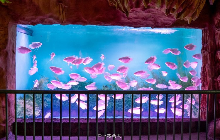 福州永泰，一个低调但很迷人的地方，好玩有故事值得一游