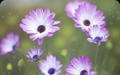 活着不要太当真人生感悟,人活着不要看得太透