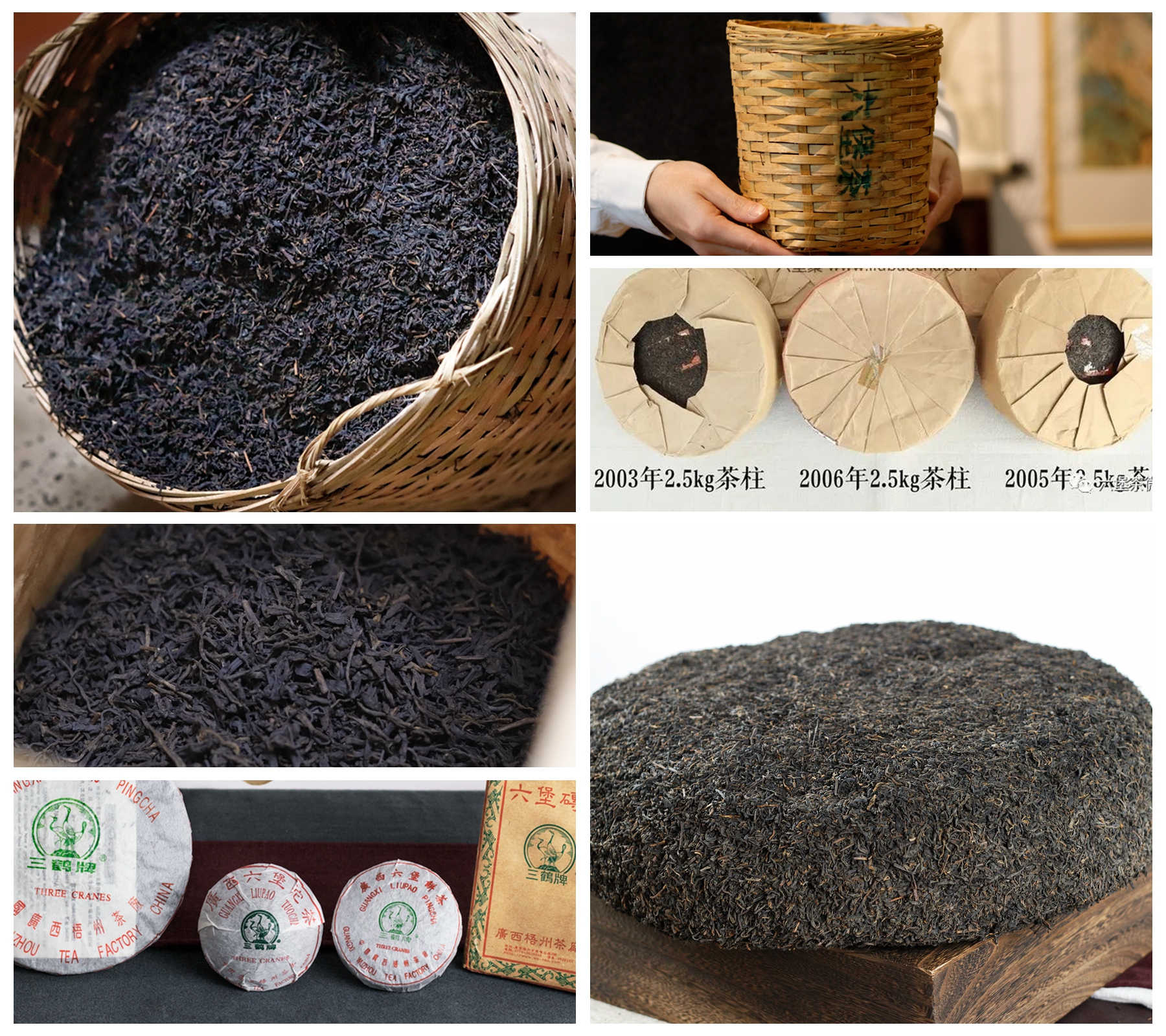 广西六堡茶与普洱熟茶,六堡茶和金花茯砖有什么区别吗