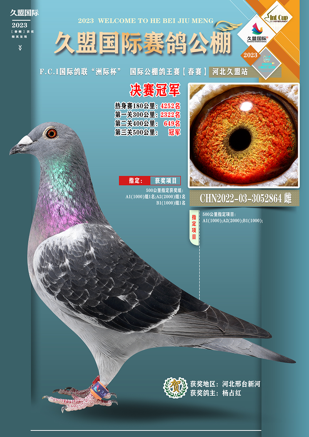 2023年国内公棚春赛冠军鸽合集，都是些什么鸽子？