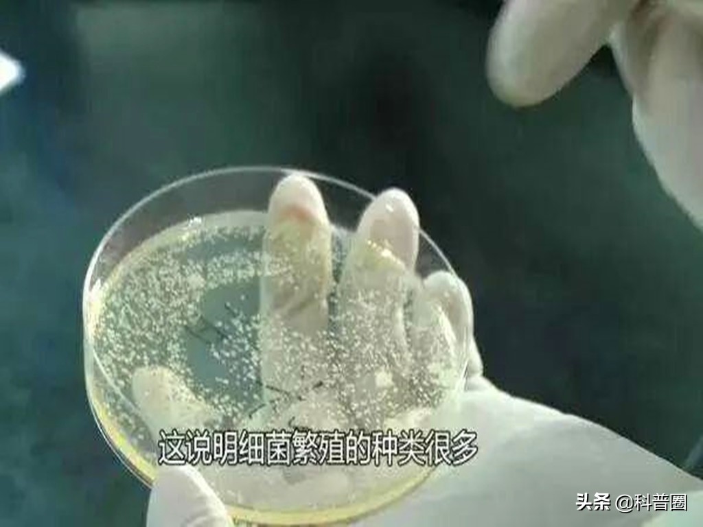 饮水机里的水真的比马桶的水还脏,饮水机的水比厕所的水还脏