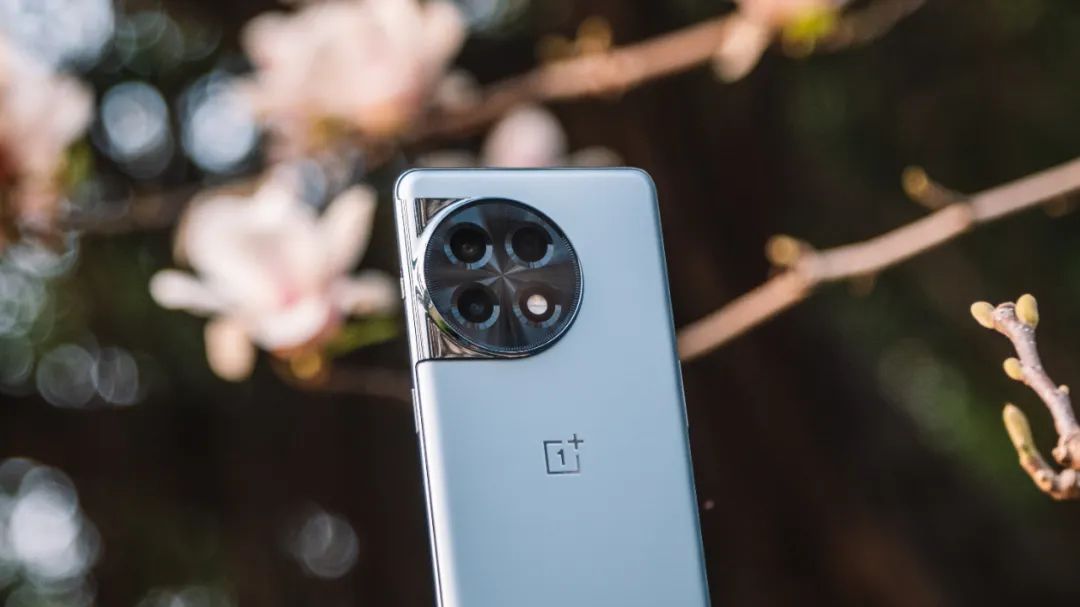 三千内比一加ace2拍照更好的手机,一加ace2手机评测拍照