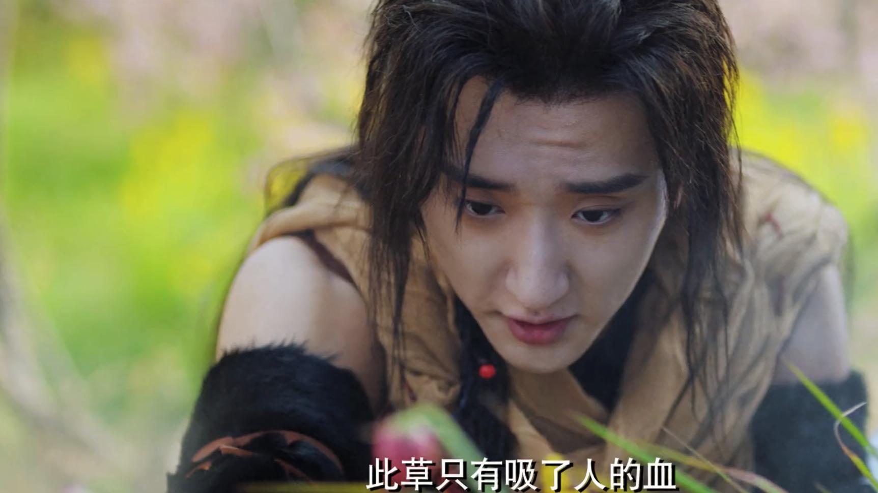 《冰火凤》：千雪妭为何移情花木？焱尊却苦等千年，雪尊痴心妄想