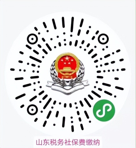 龙口居民基础养老保险,龙口市农村养老保险哪年开始办理