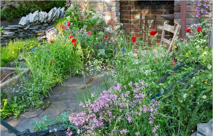 花园适合种的植物,在花园种植哪些植物比较适合