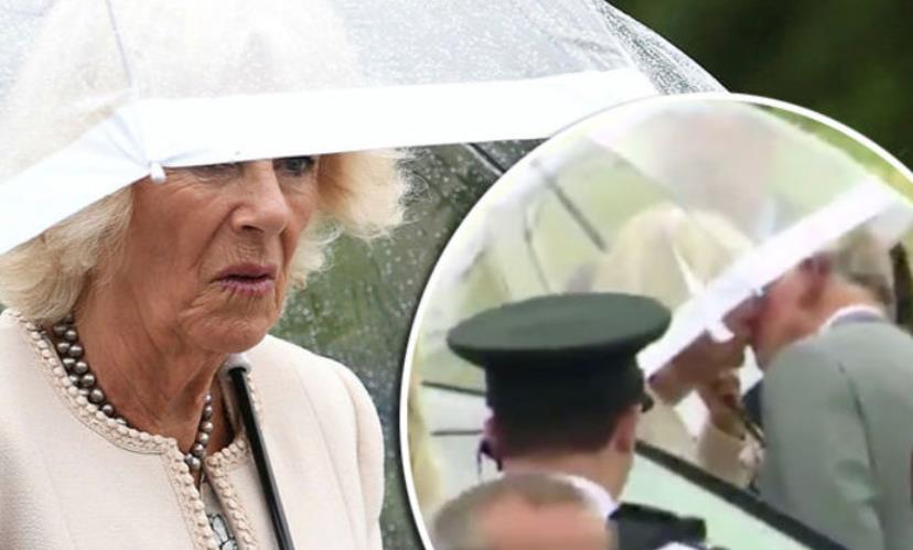 70岁卡米拉,75岁的卡米拉气场全开如女王