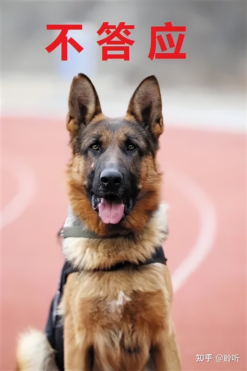 南大碎尸案最接近真相解析,南大碎尸案真相大揭秘