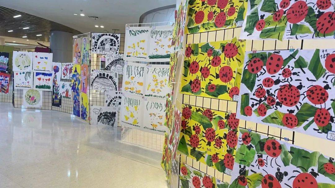 嘉兴诺亚舟庆安幼儿园怎么样,嘉兴诺亚舟庆安戴铭庭幼儿园