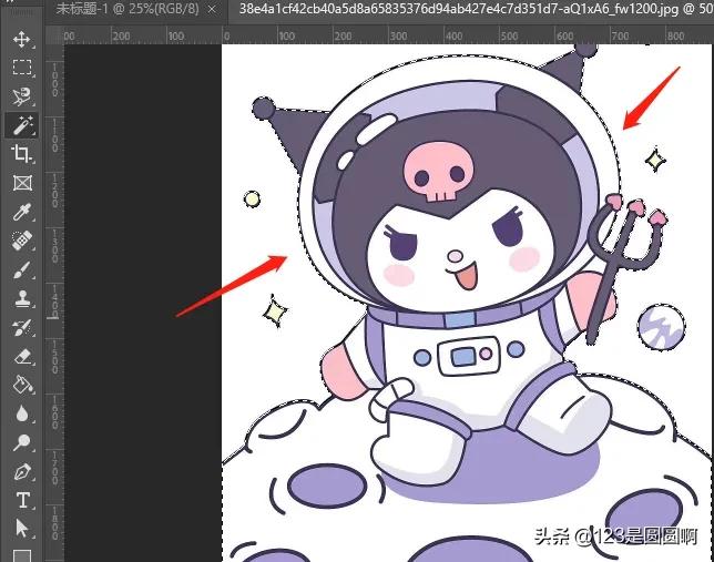 ps套索工具制作白底图,ps中套索工具怎么停止