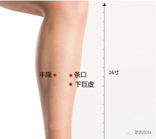 春季适合艾灸灸哪个位置,艾灸减肥减腰腹部