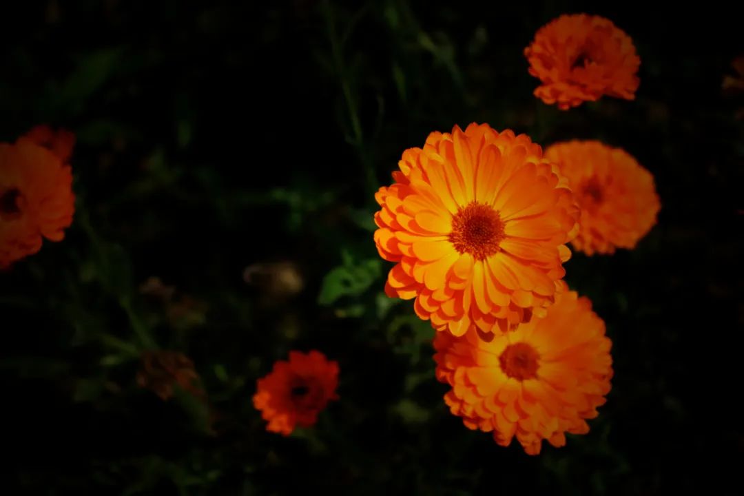 怎样才是正确的摄影拍摄姿势,学会这9个摄影技巧