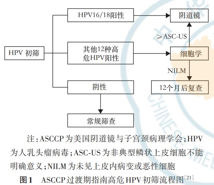 HPVDNA检测应用于健康体检人群子宫颈癌初筛的专家共识
