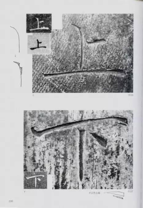 宸ョ瑪鐢绘潹鏅箟鐢诲唽,鏉滈箖鏉ㄦ櫘涔夊畬鏁寸増