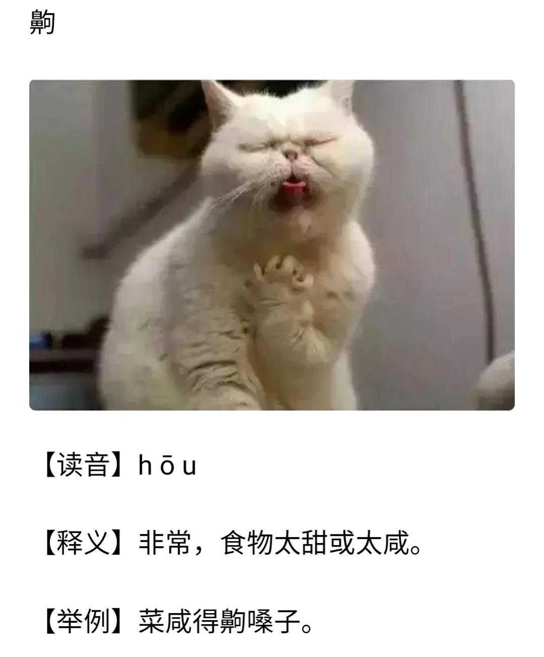 鲁西南方言生僻字,山东鲁西南方言生僻字