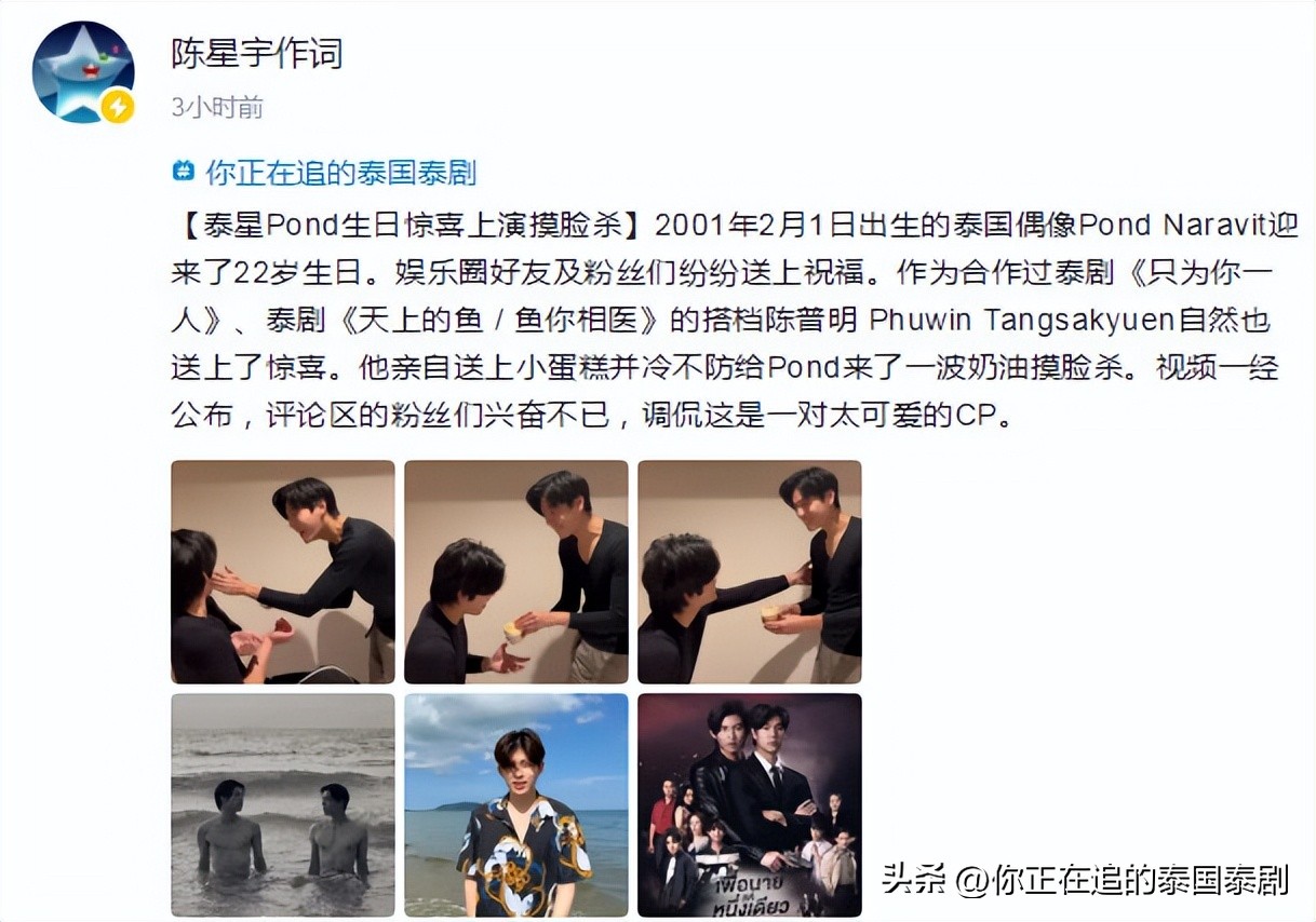 泰国评论陈星宇,泰国人评论陈星宇