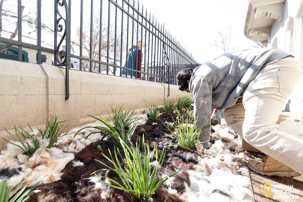 头发的回收再利用,娃娃头发变废为宝