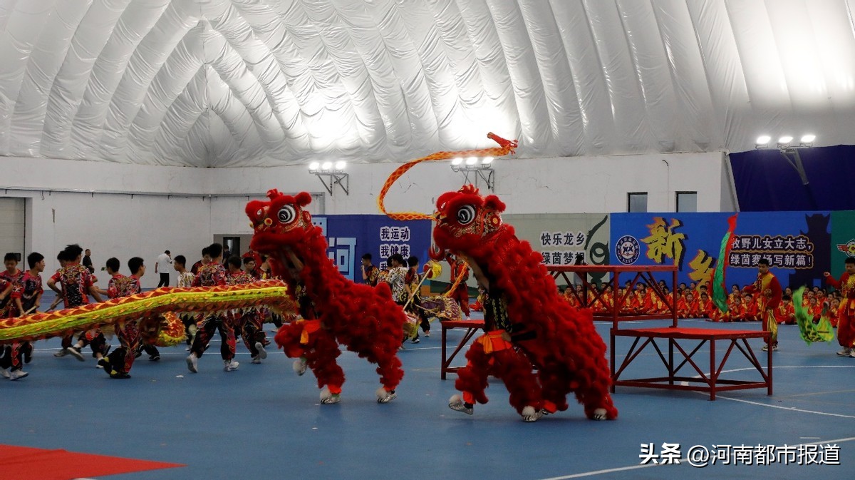 河南省第十四届省运会足球比赛,河南省第14届运动会学生组篮球赛