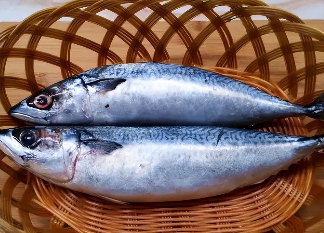 五月海鲜上市时间表,5月份什么海鲜比较多