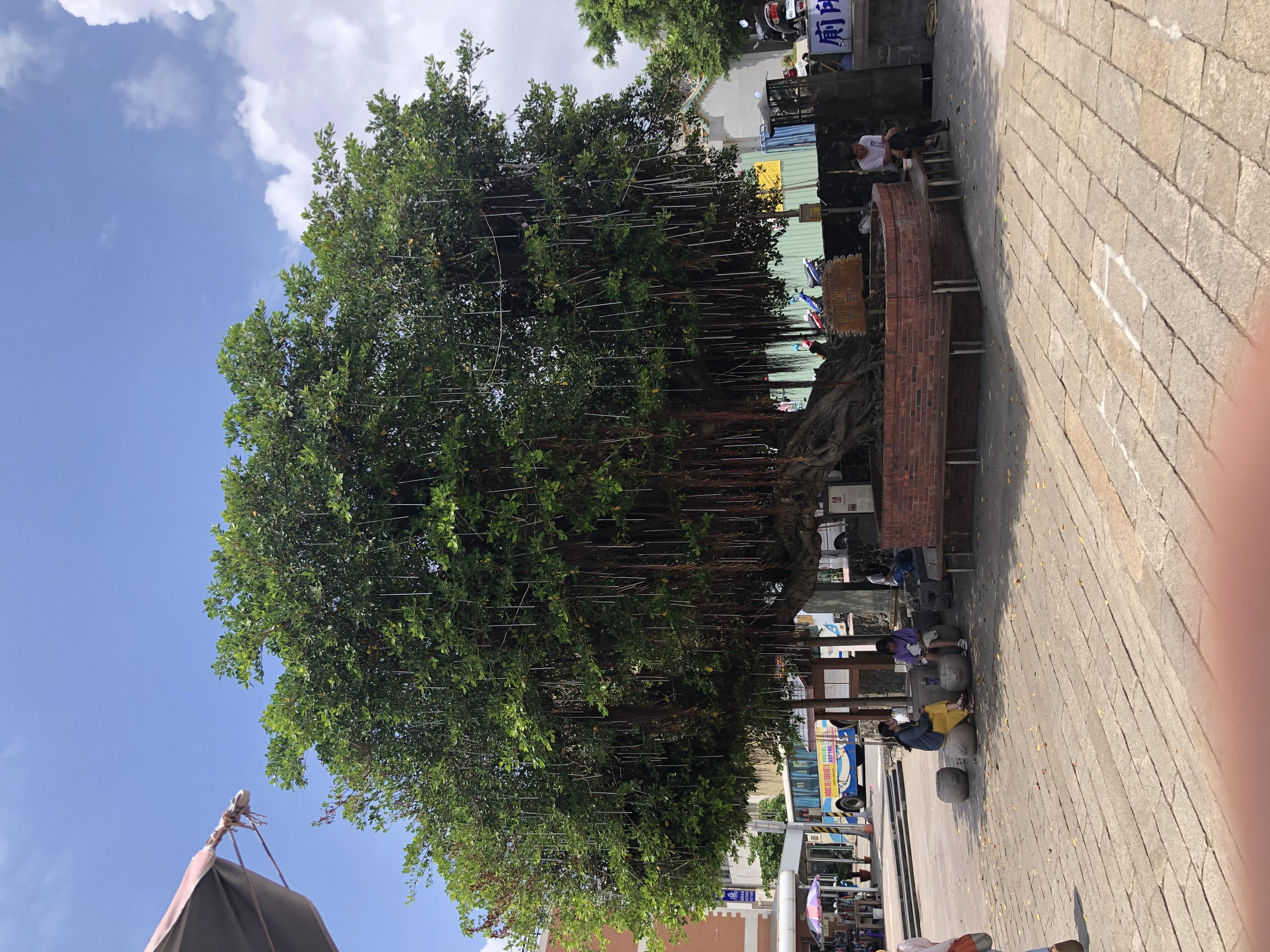 台湾8天7夜环岛行散记,台湾15天自由行攻略