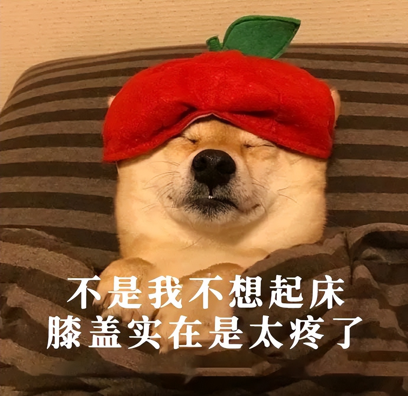 孩子说膝盖疼又没受伤怎么回事,小孩没有摔倒过但是膝盖疼