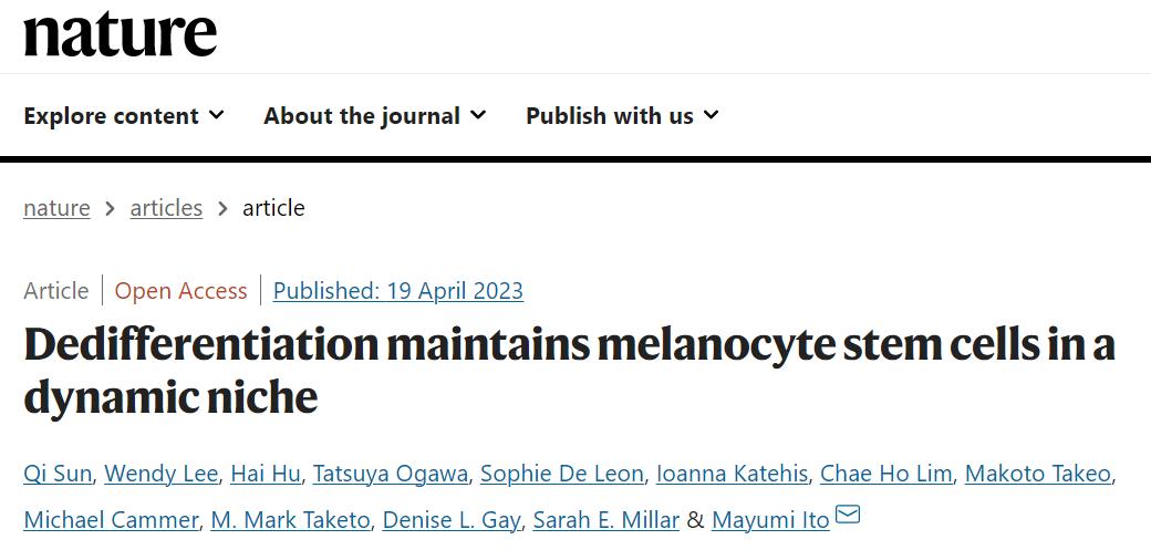 科学研究的最新发现白发变黑发,头发白发转黑真实亲身体验