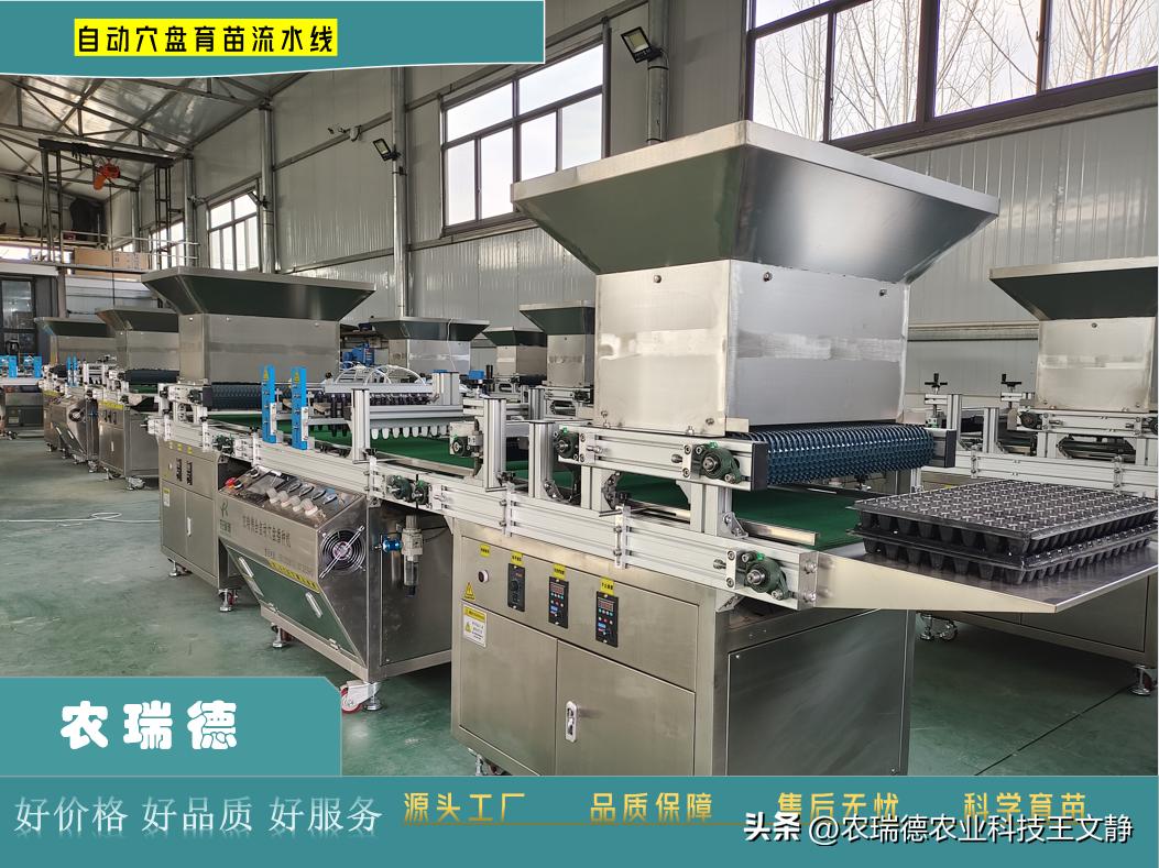 西兰花育苗用多大的穴盘,穴盘育苗点播机制作