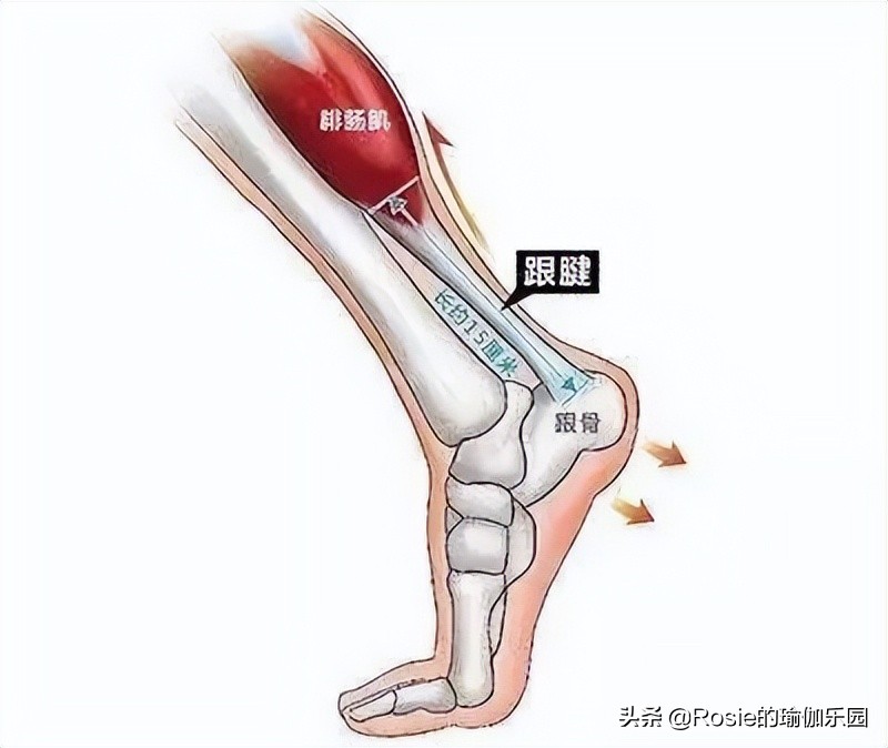 脚踝粗有办法瘦吗,脚踝很细大腿很粗怎么瘦