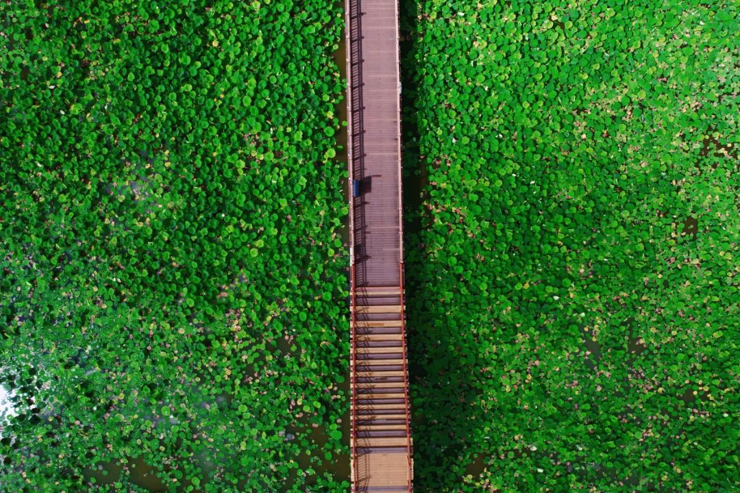 今天中国旅游日,徐霞客来过红河吗
