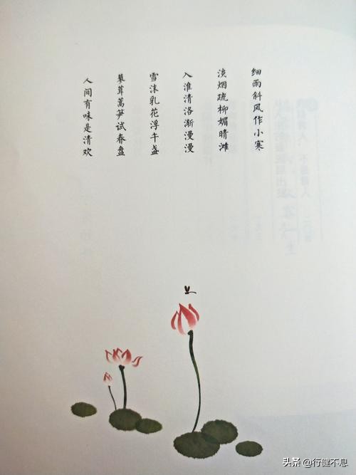 苏东坡词十首此心安处是吾乡,苏东坡的此心安处是吾乡说的是谁