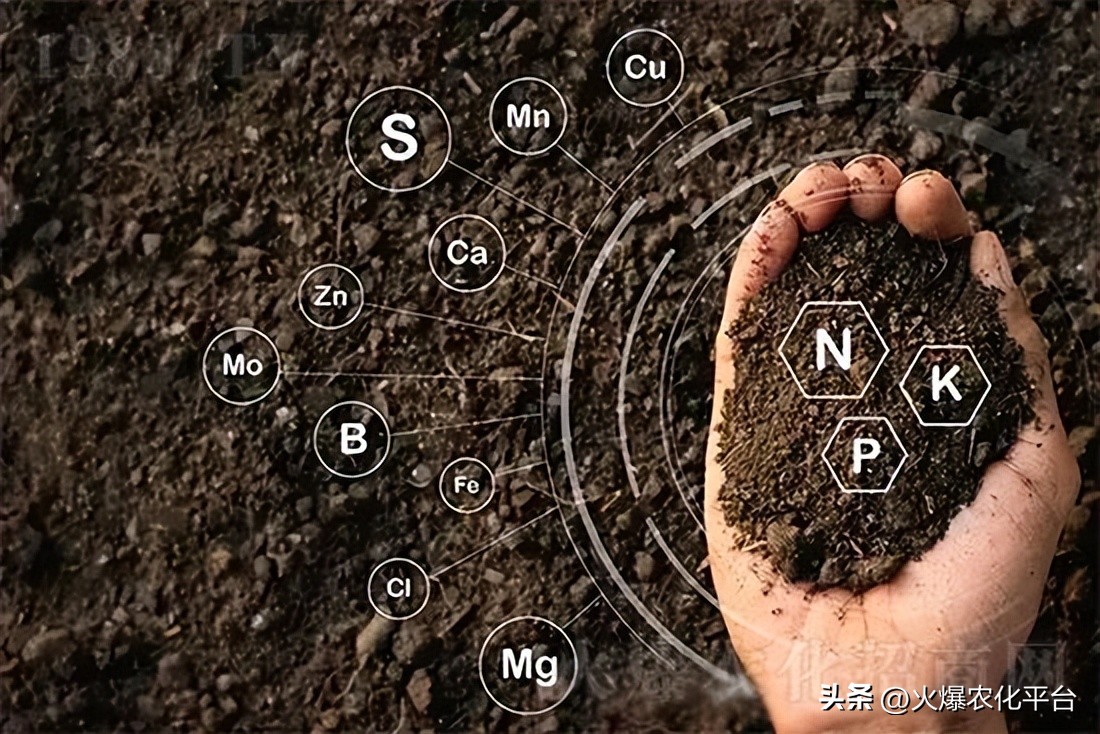 棚里土板结最好的解决方法,大棚土壤板结解决方法