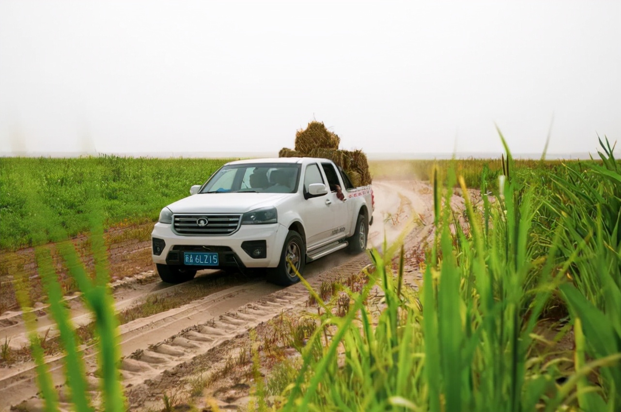 中国神奇胶水让沙漠变绿洲,中国科学家发明胶水沙子变土壤