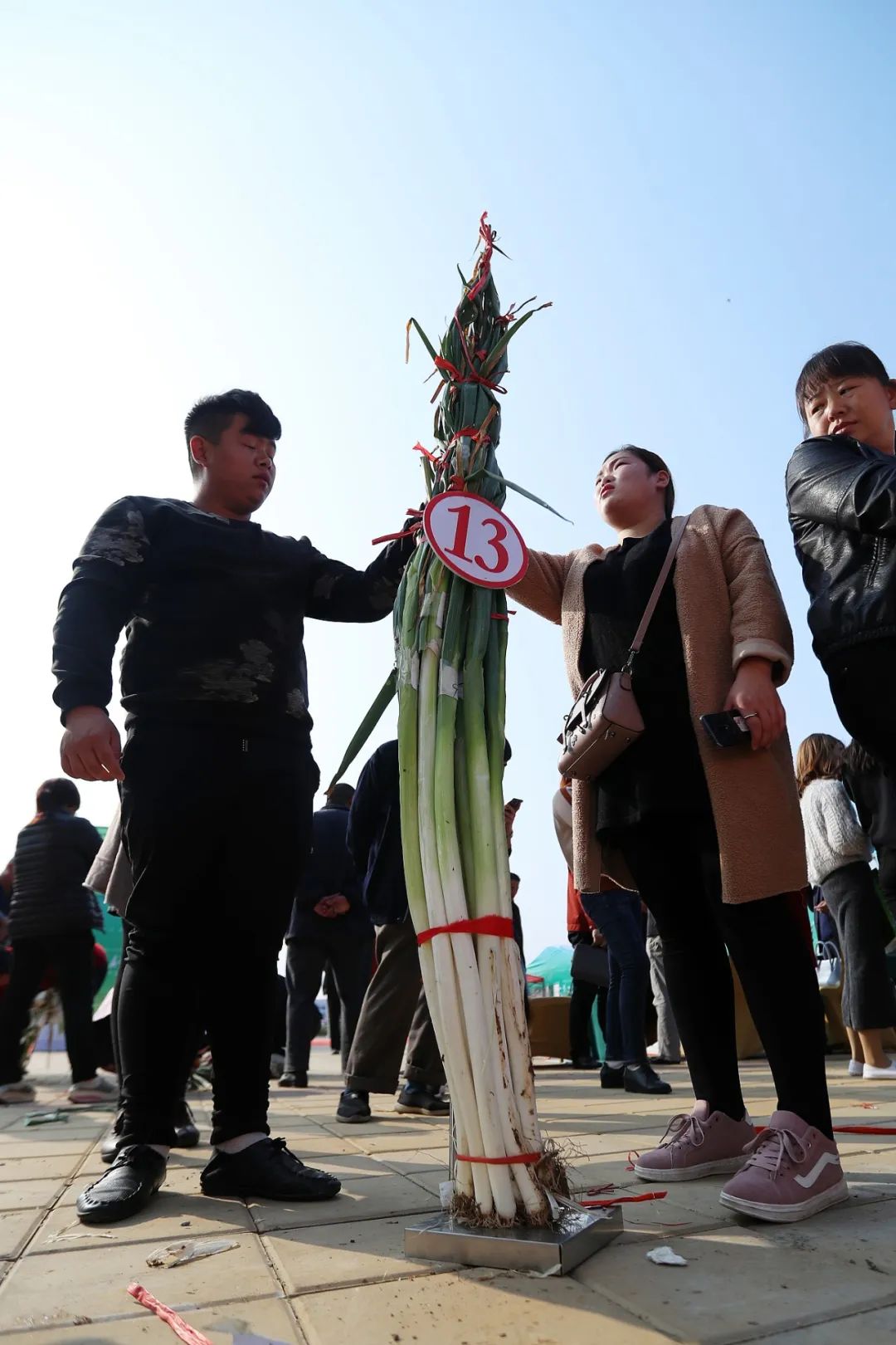 为什么叫山东大葱,为什么大葱用葱白不用葱绿